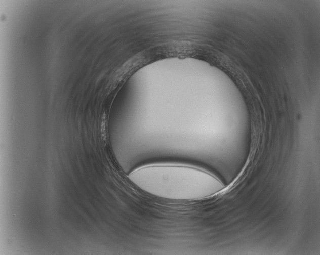 X0000083640144200702120801