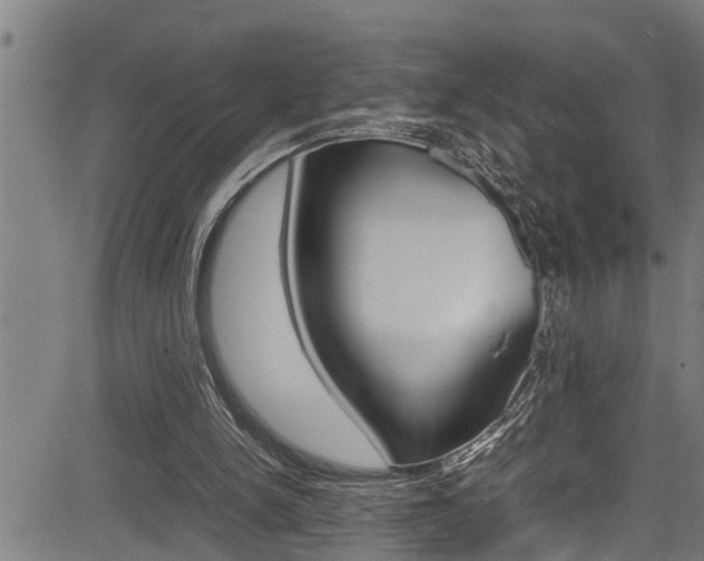 X0000083640150200702120800