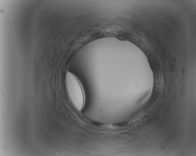 X0000083640231200702120759