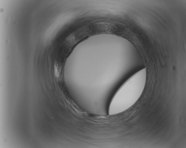 X0000083640239200702120759