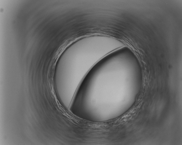 X0000083640241200702120758
