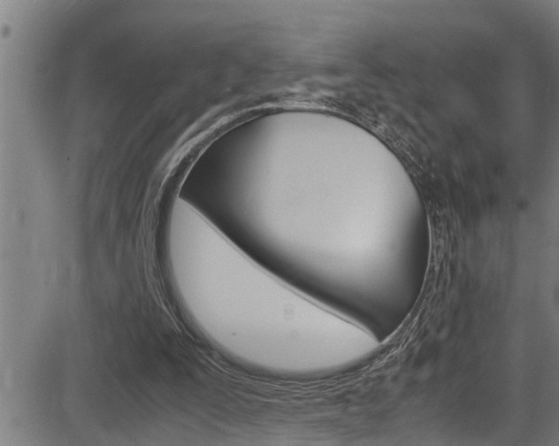 X0000083640295200702120758
