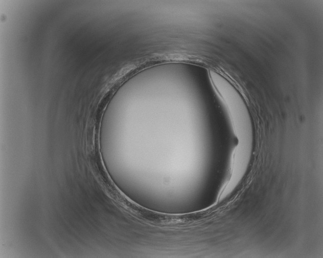 X0000083640301200702120758