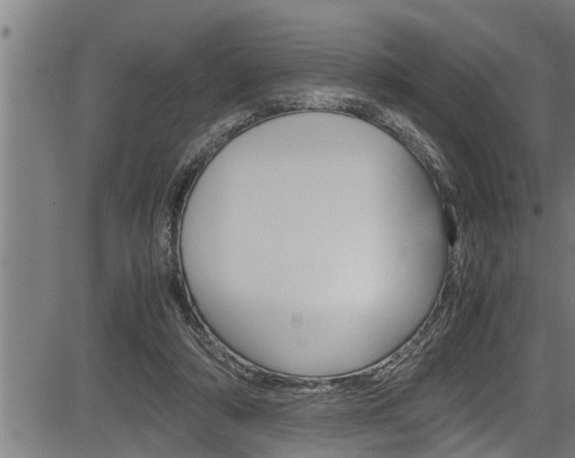 X0000083640306200702120758