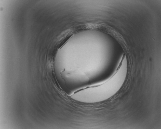 X0000083640329200702120758