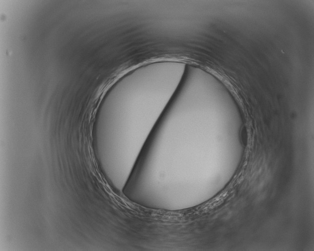 X0000083640337200702120757