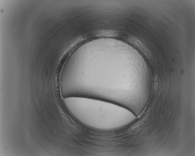 X0000083640351200702120757