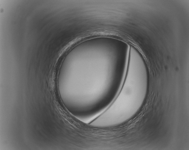 X0000083640387200702120757
