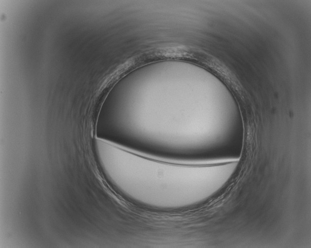 X0000083640397200702120756