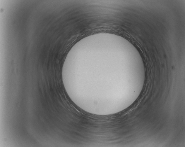 X0000083640432200702120756