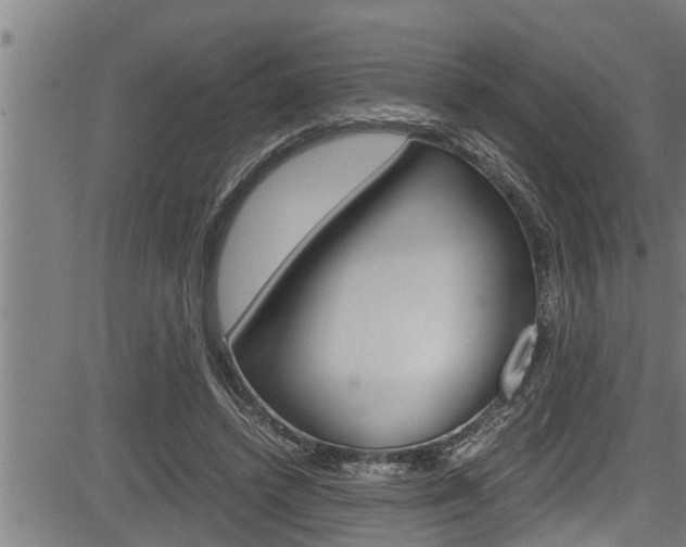 X0000083640448200702120755