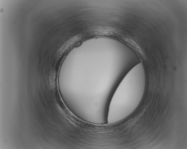 X0000083640490200702120755