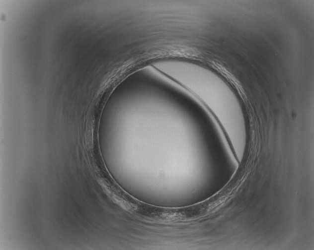 X0000083640493200702120755