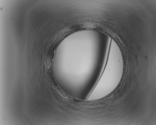 X0000083640517200702120754