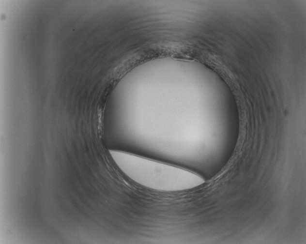 X0000083640528200702120754