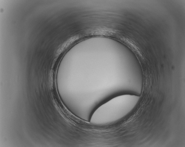 X0000083640678200702120752
