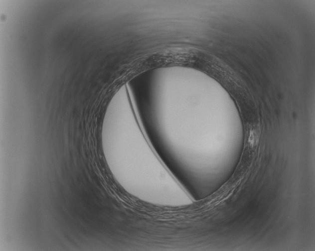 X0000083640771200702120750