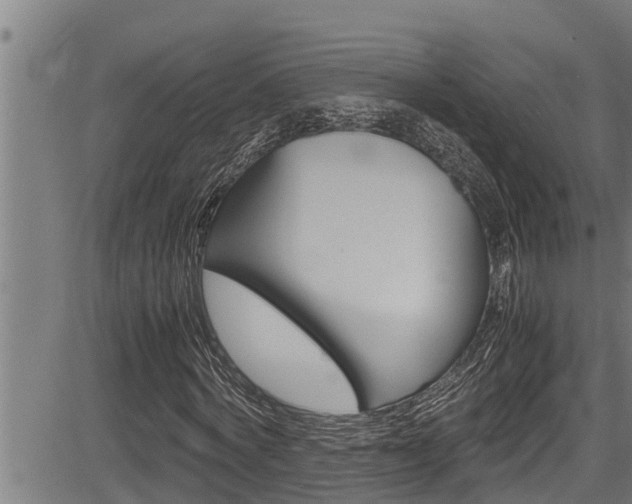 X0000083640772200702120750