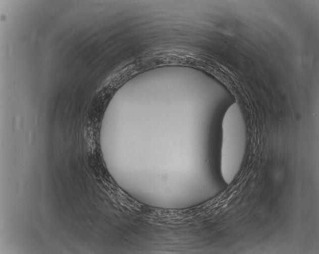 X0000083640774200702120750