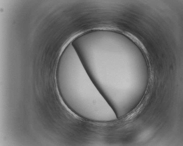 X0000083640855200702120749