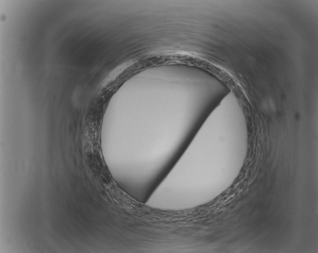 X0000083640871200702120749