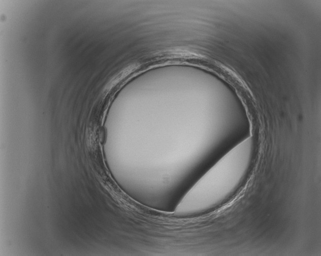 X0000083640873200702120749