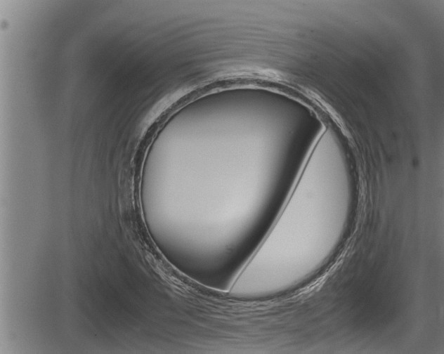 X0000083640877200702120749