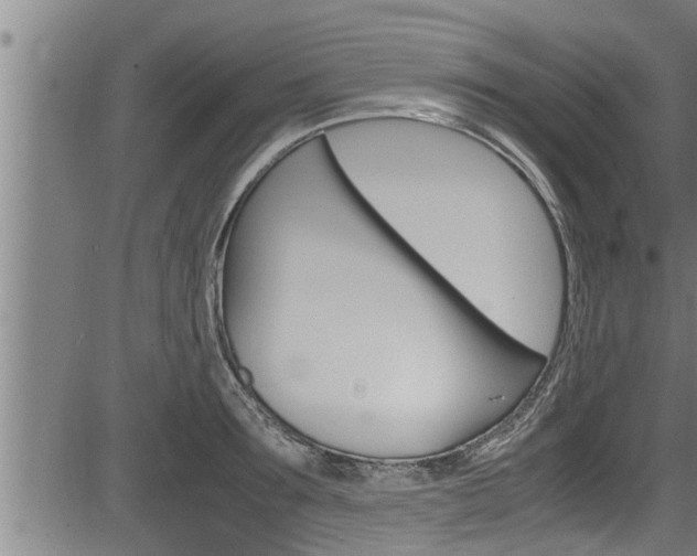 X0000083640899200702120748