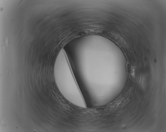 X0000083640915200702120747