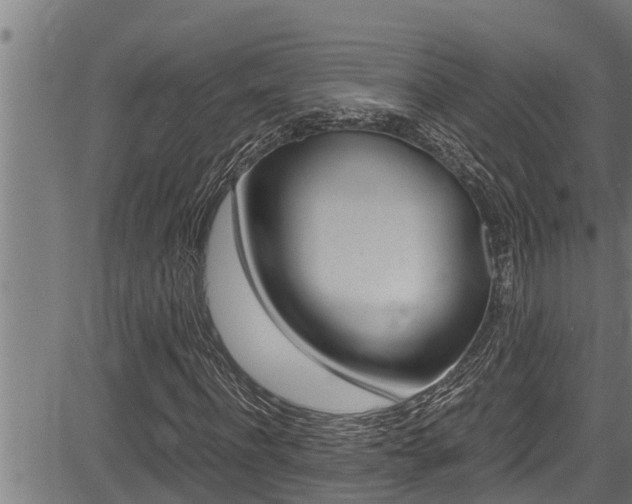 X0000083640916200702120747