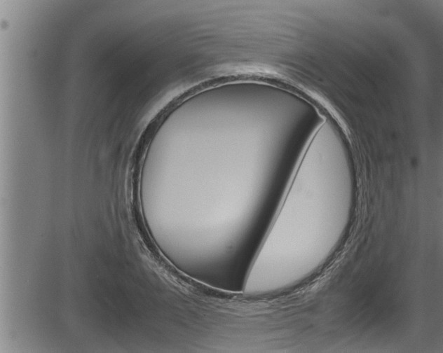 X0000083640983200702120747