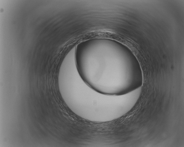 X0000083641014200702120746