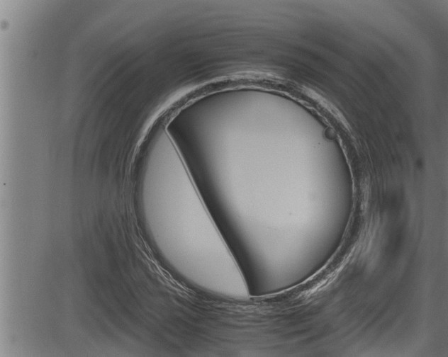 X0000083641021200702120746
