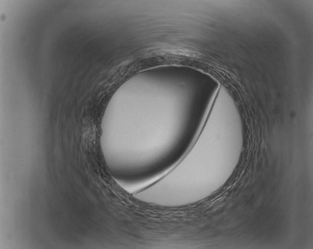 X0000083641061200702120746