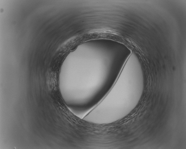 X0000083641062200702120746