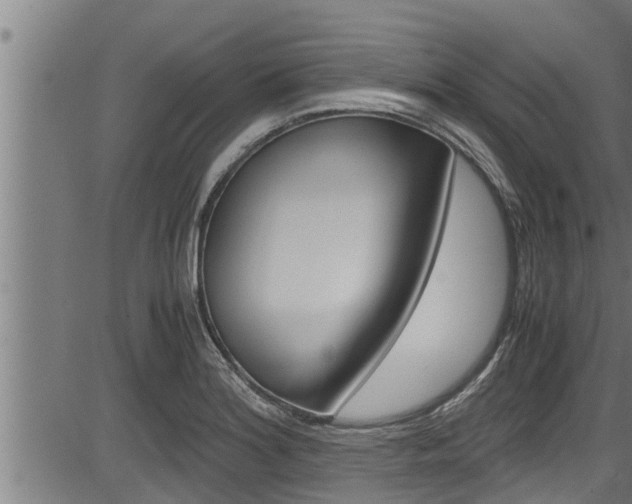 X0000083641180200702120744