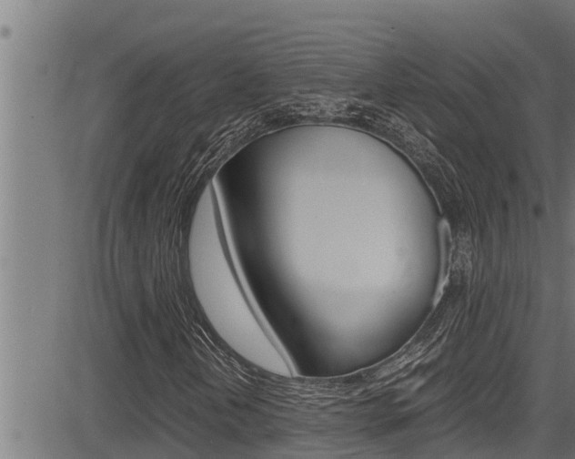 X0000083641202200702120743