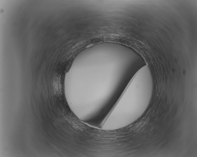 X0000083641252200702120743