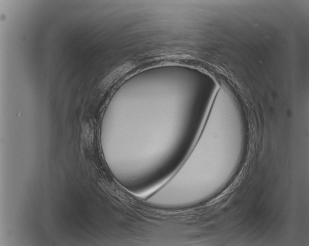X0000083641257200702120742