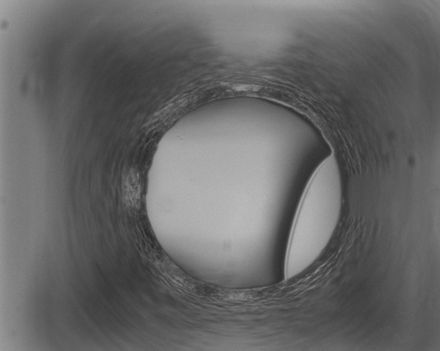 X0000083641443200702120739