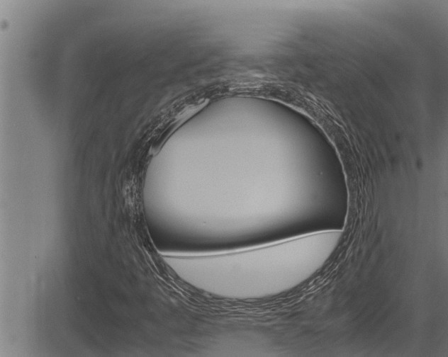 X0000083641445200702120739