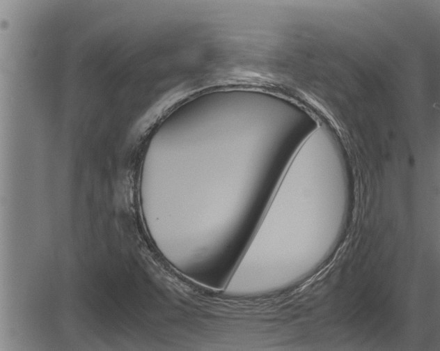 X0000083641455200702120739