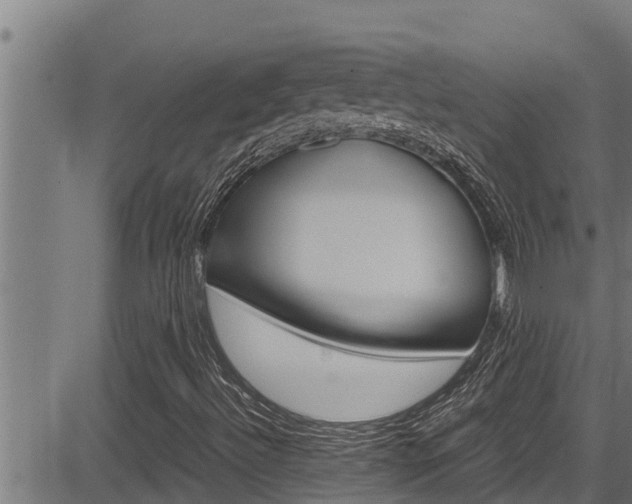 X0000083641492200702120738