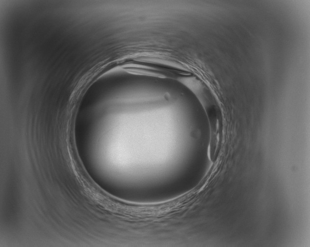 X0000083640001200702121136
