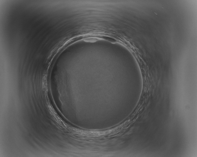 X0000083640002200702121136
