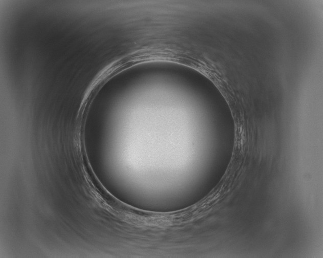 X0000083640004200702121136
