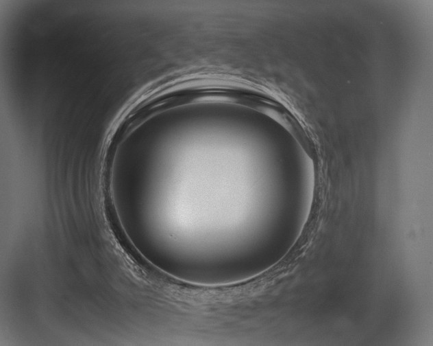 X0000083640007200702121136