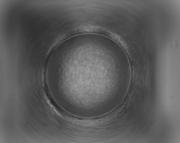 X0000083640010200702121136