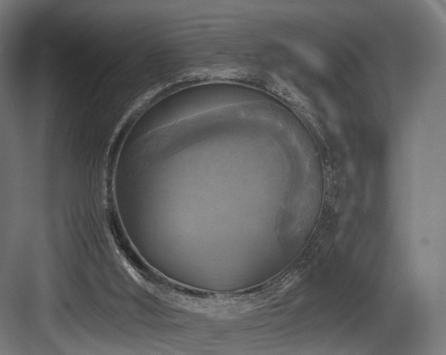 X0000083640012200702121136