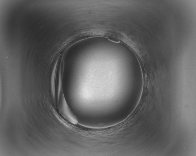 X0000083640013200702121136